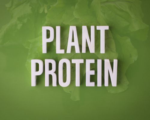 What Are the Plant Proteins? What Are Their Advantages?
